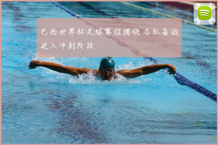 巴西世界杯足球赛程揭晓 各队备战进入冲刺阶段