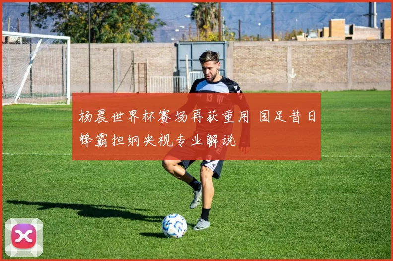 杨晨世界杯赛场再获重用 国足昔日锋霸担纲央视专业解说