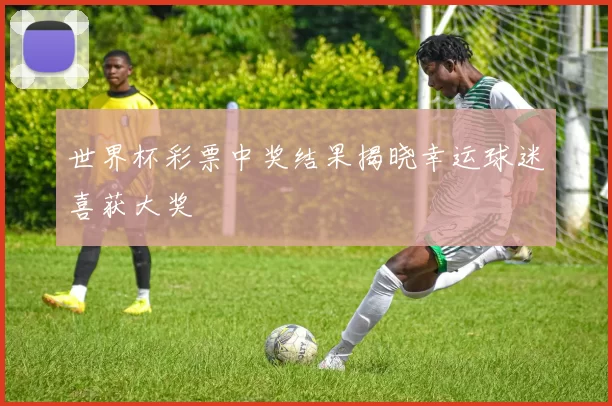 世界杯彩票中奖结果揭晓幸运球迷喜获大奖