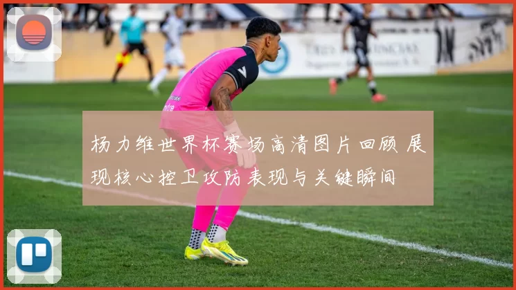 杨力维世界杯赛场高清图片回顾 展现核心控卫攻防表现与关键瞬间