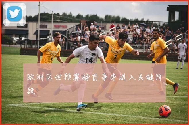 欧洲区世预赛榜首争夺进入关键阶段